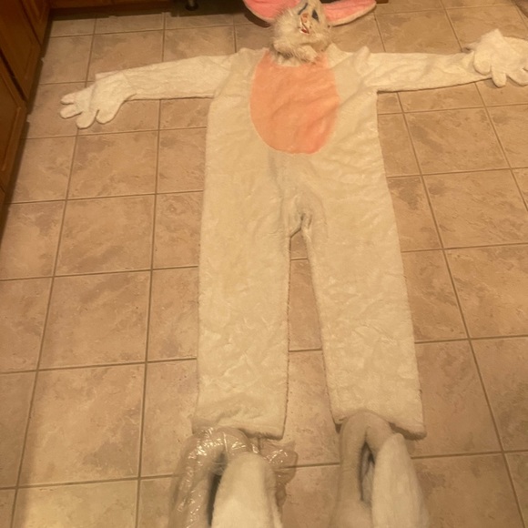 Halloween costumes for the adults and kiddos tons of accessors. Prices vary - Picture 11 of 17